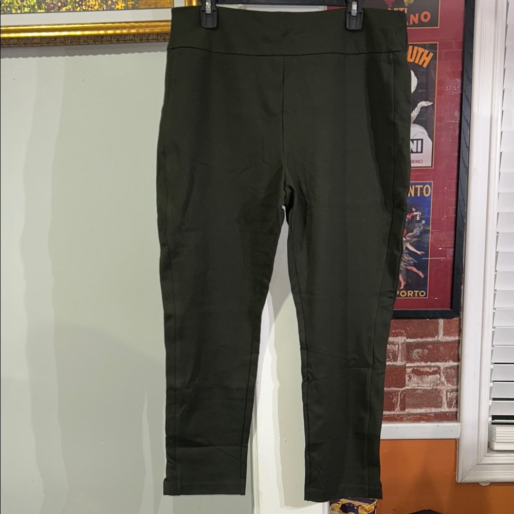 Express Olive Green Stretch Ponte Pants